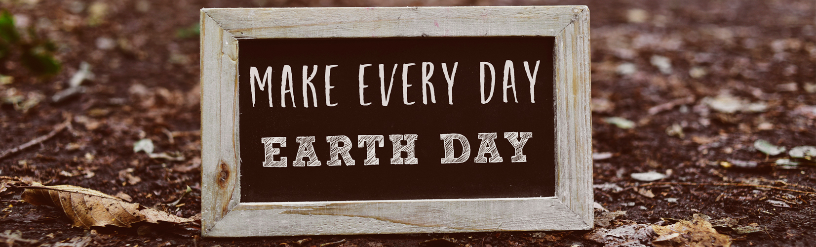 Make every day earth day written inside wooden frame