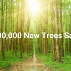 New trees saved